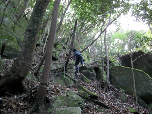 金山に登りました。_c0170075_2143870.jpg