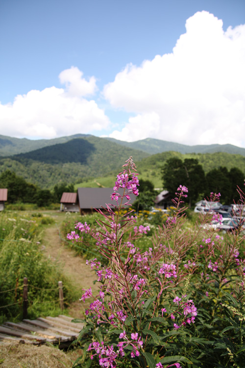 c0054876_163302.jpg