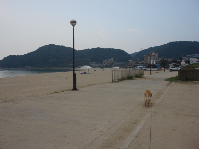 a0040978_11843.jpg