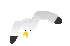 b0136683_20143582.gif