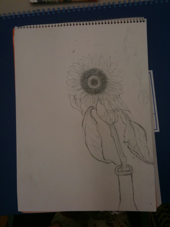 成長過程と同じように描く。植物編_d0128883_1312758.jpg