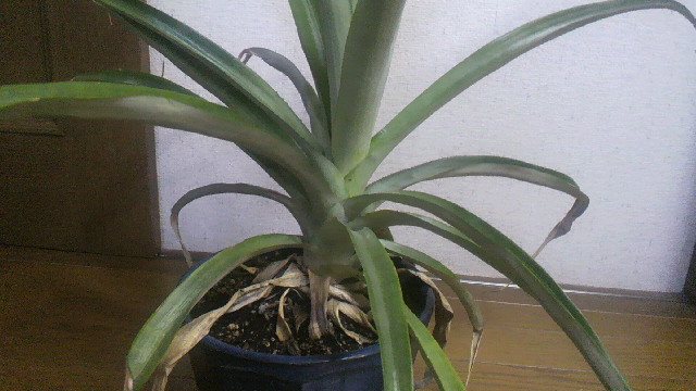 c0092803_237565.jpg