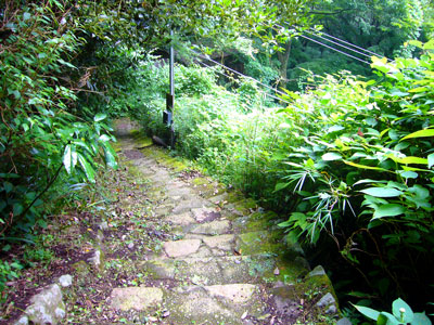 a0071805_18202974.jpg