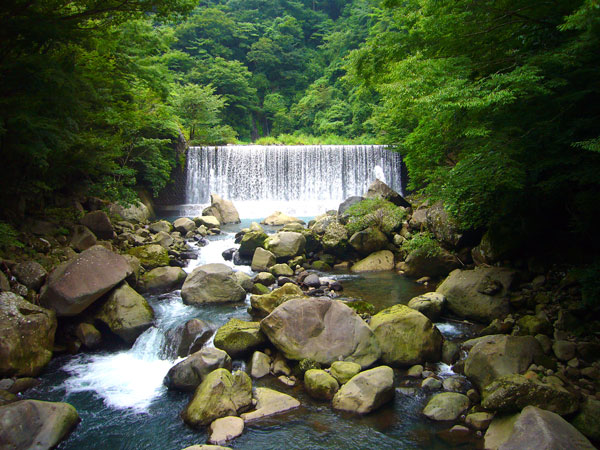 a0071805_18225255.jpg