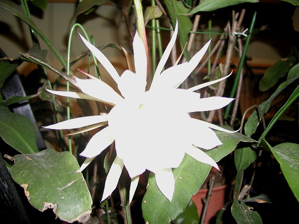 f0217305_17103254.jpg