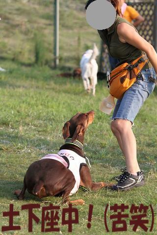 e0100007_21412662.jpg