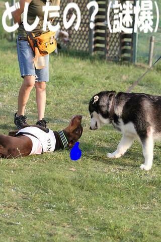 e0100007_21414171.jpg