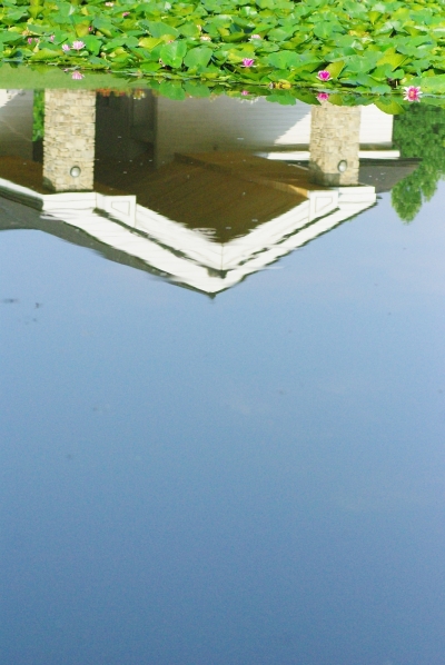 c0156908_8191127.jpg