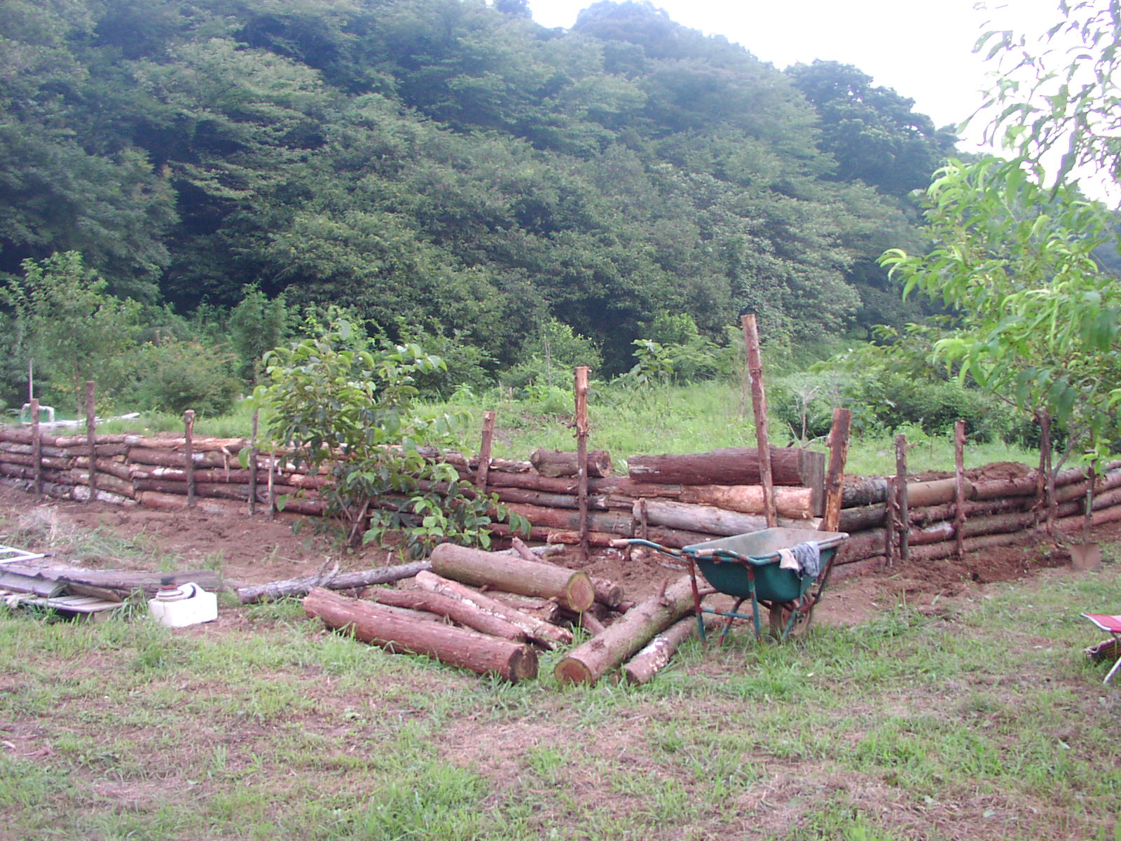 f0164410_20234525.jpg