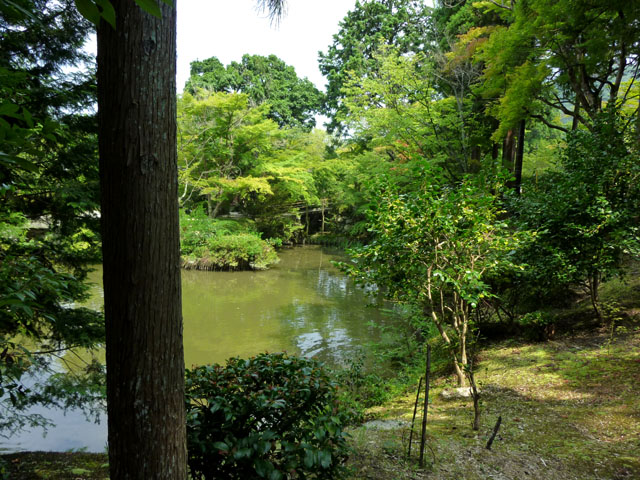 曼殊院 残暑_e0048413_16262189.jpg