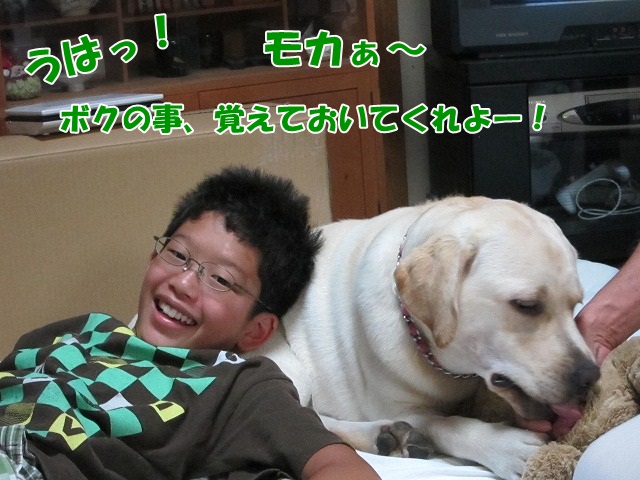 続報♪_e0192217_6562368.jpg