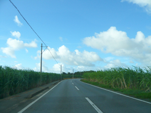 宮古島旅行記_b0019820_2292582.jpg