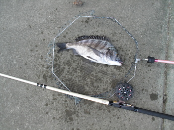 f0031423_857494.jpg