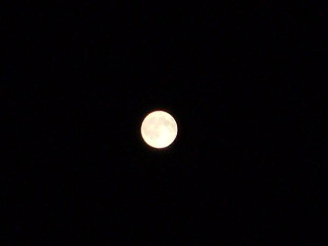 a0166324_2228032.jpg