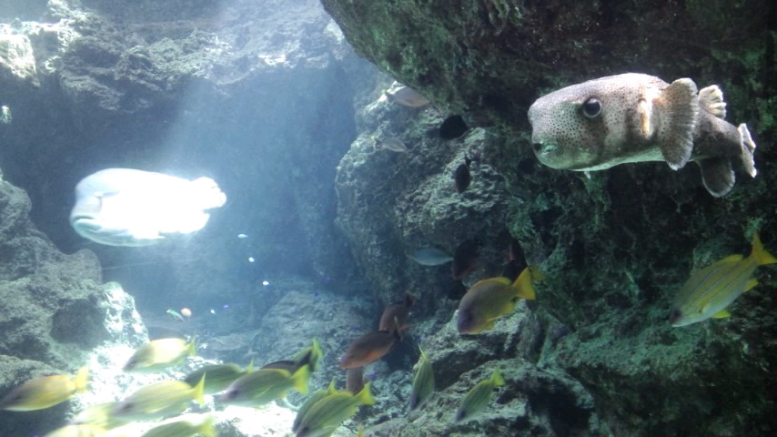 c0045730_2372940.jpg