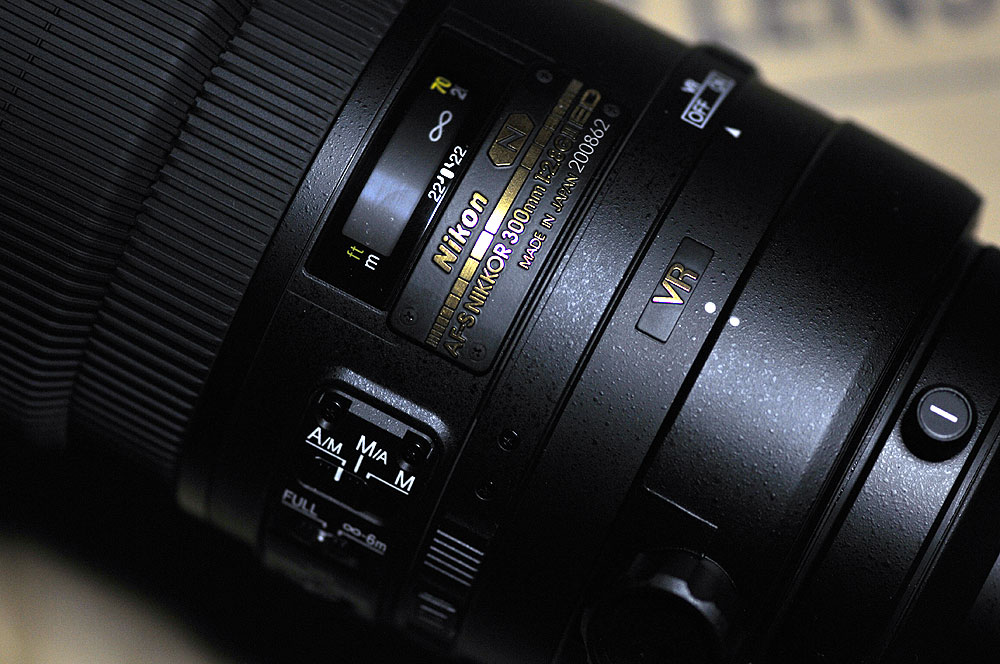 AF-S NIKKOR 300mm f/2.8G ED VR II_c0221838_19401660.jpg