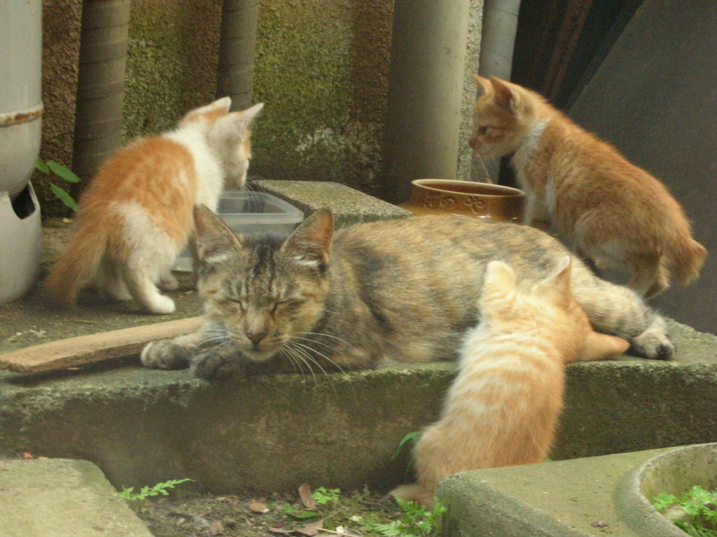 c0228356_23513071.jpg