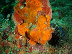 f0164662_18776.jpg