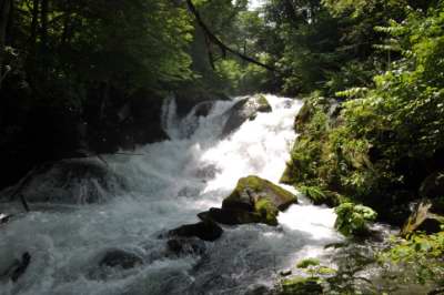 東北旅行～3日目奥入瀬渓流_d0172064_22345720.jpg