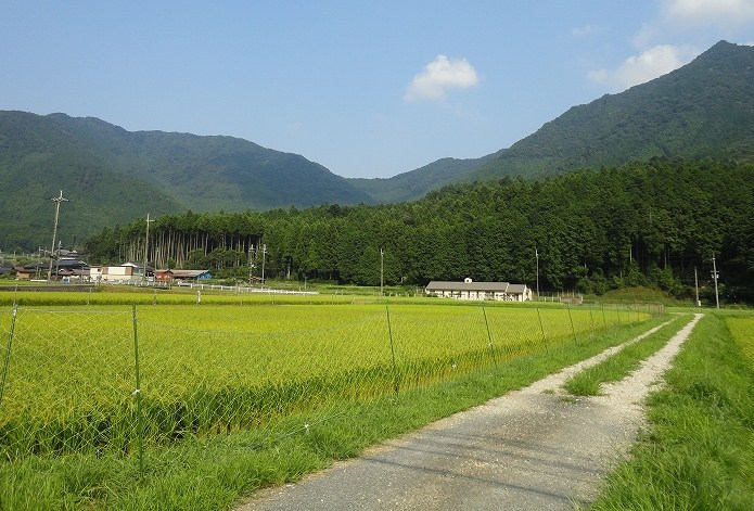 e0024081_19594293.jpg