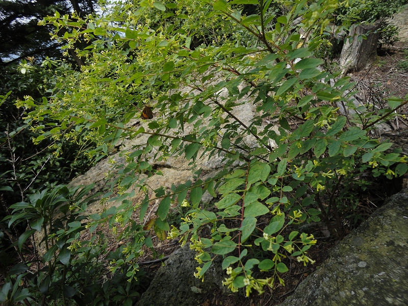e0024081_201569.jpg