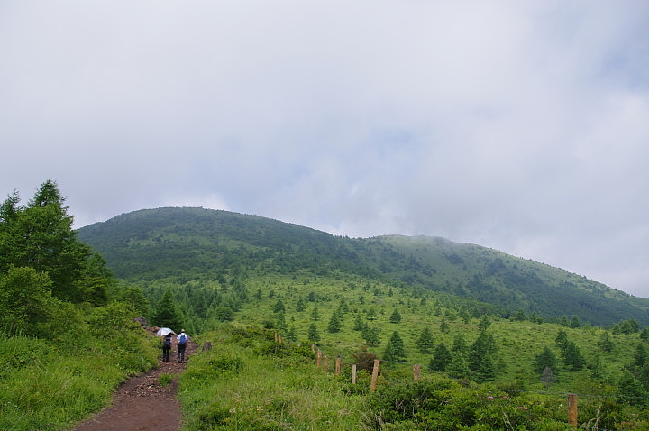 花咲く湯ノ丸山・烏帽子岳_c0224989_1783931.jpg