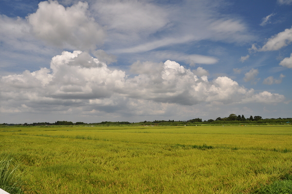 d0021491_0343145.jpg