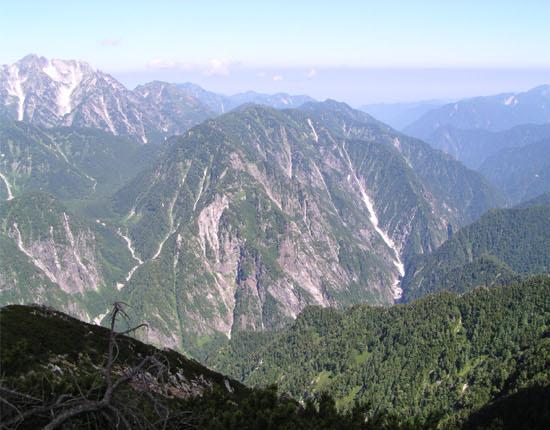 e0081292_638082.jpg