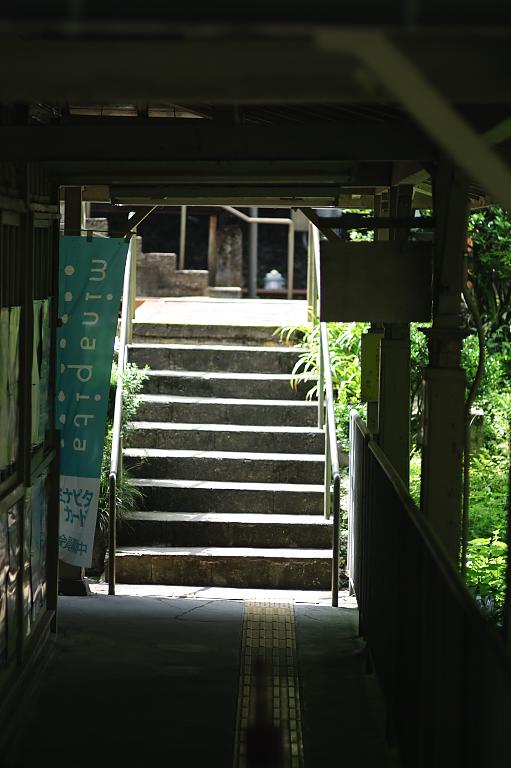 d0069495_07884.jpg