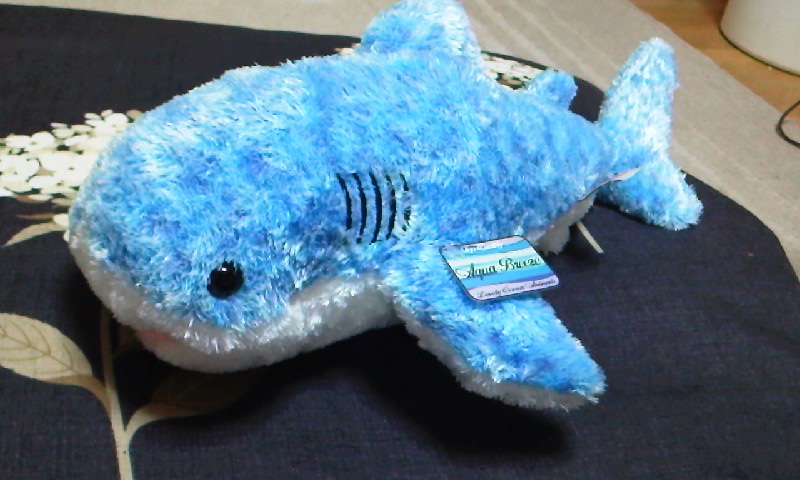 d0072395_13452093.jpg