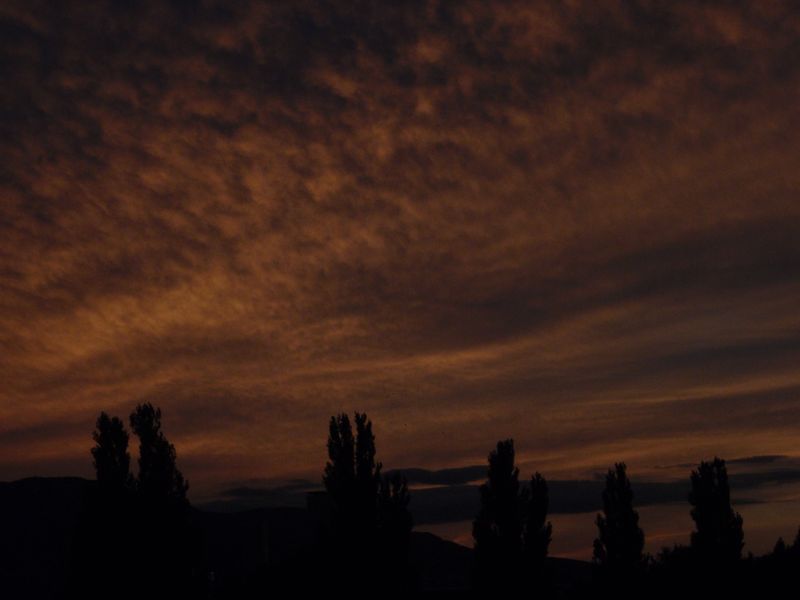 初秋の夕暮れ_c0025115_18321538.jpg