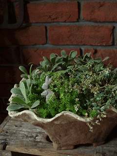 f0222817_11202981.gif