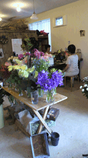 f0222817_12504217.gif