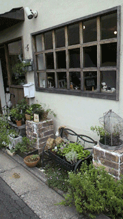 f0222817_12505646.gif