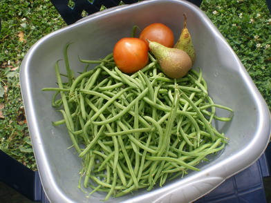 c0124619_544672.jpg