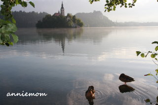 ** スロヴェニア・ブレッド湖 **_c0197819_17185444.jpg