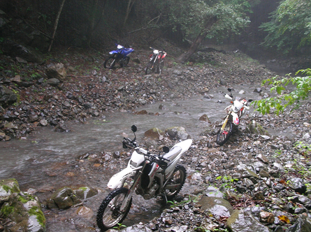 c0223419_1174160.jpg