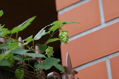 f0170524_14164366.jpg