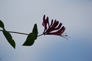f0170524_14183768.jpg