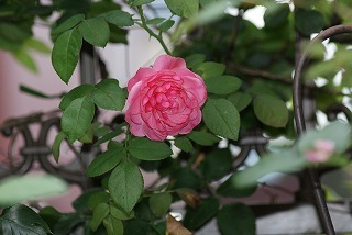 f0170524_14203315.jpg