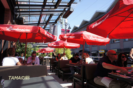 c0024729_21423438.jpg