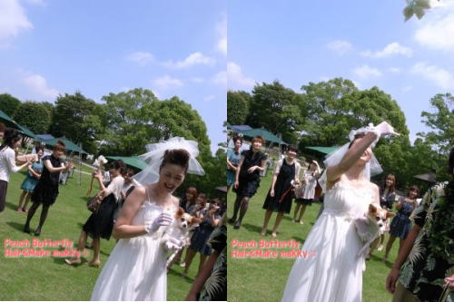 ワンちゃんとガーデンWEDDING_c0043737_18531343.jpg