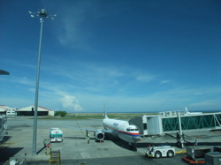 a0110447_13278.jpg