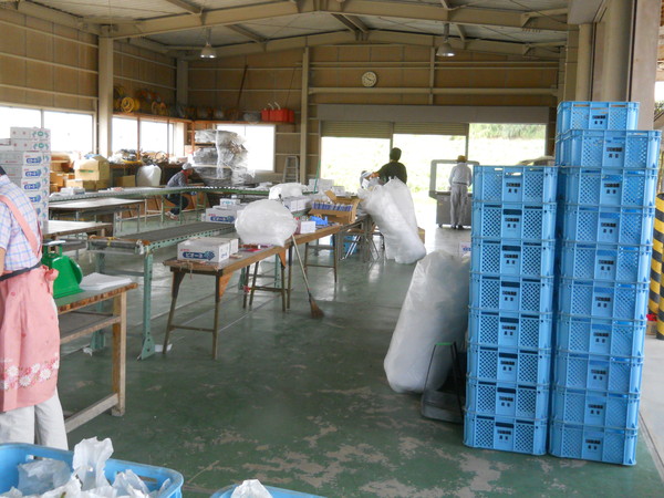 c0107149_724165.jpg
