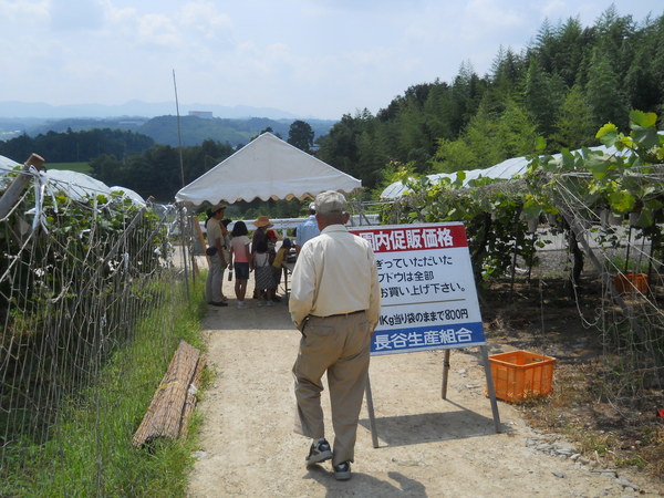 c0107149_74520.jpg