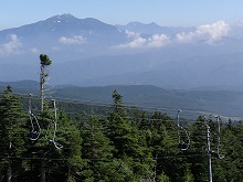 d0048350_1936810.jpg