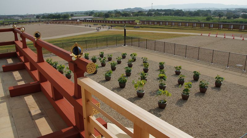 復元大極殿、朱雀門 （奈良 平城遷都１３００年祭 世界遺産「平城宮跡」 ） (2010年08月26日) _c0119555_20343029.jpg