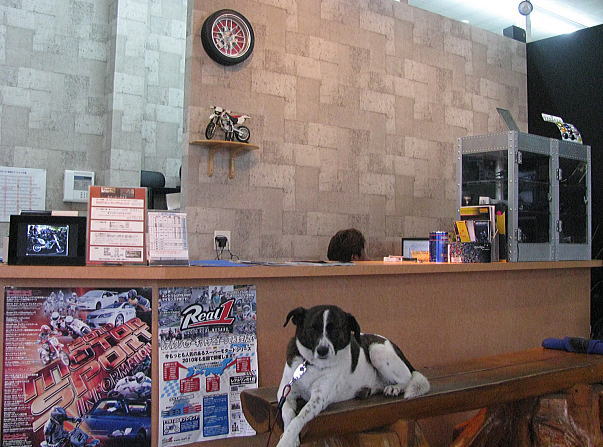 ディスプレイフォトフレーム_f0178858_19365720.jpg
