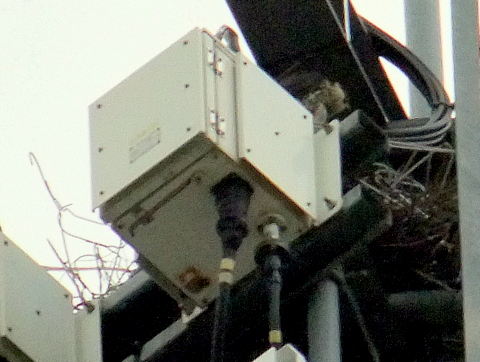 b0165760_152354.jpg