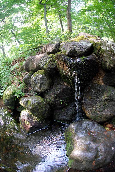 月山山麓湧水群「ブナの泉」－名水百選_c0043361_054710.jpg